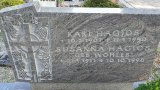 Bild Nr. 265 (20250719_091554)
