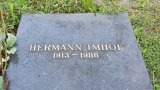 Bild Nr. 269 (20250719_091642)