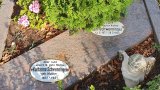 Bild Nr. 274 (20250719_091722)