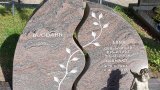 Bild Nr. 292 (20250719_092221)