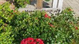 Bild Nr. 298 (20250719_092347)