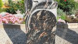 Bild Nr. 300 (20250719_092407)