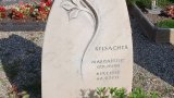 Bild Nr. 303 (20250719_092433)