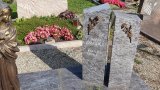 Bild Nr. 316 (20250719_092642)