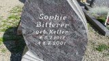 Bild Nr. 329 (20250719_093701)