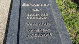 Bild Nr. 330 (20250719_093710)