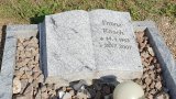 Bild Nr. 354 (20250719_094334)
