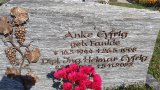 Bild Nr. 355 (20250719_094350)