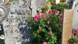 Bild Nr. 357 (20250719_094424)