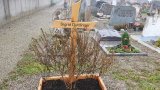 Bild Nr. 375 (20250719_094902)