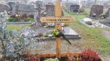 Bild Nr. 376 (20250719_094903)