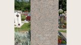 Bild Nr. 384 (20250719_095020)