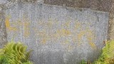 Bild Nr. 397 (20250719_095232)