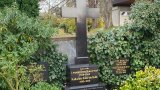 Bild Nr. 401 (20250719_095840)