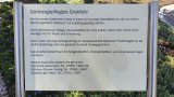 Bild Nr. 402 (20250719_101599)