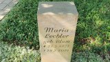 Bild Nr. 404 (20250719_101628)