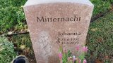 Bild Nr. 409 (20250719_101647)