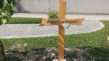 Bild Nr. 416 (20250719_101801)