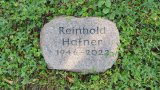 Bild Nr. 417 (20250719_101813)