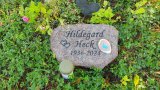 Bild Nr. 419 (20250719_101818)