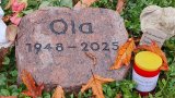 Bild Nr. 423 (20250719_101834)