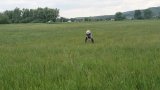 Moorwanderung 2022-06