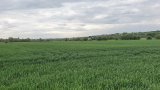 Moorwanderung 2022-08