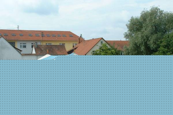Hera's Tierschau