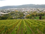 Reise nach Trier/Zerf 2010-14