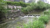 Korea 12.08.2011 B2