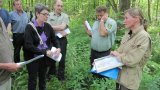 Waldbegehung 2011-05