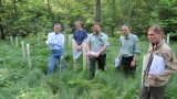 Waldbegehung 2011-11