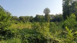 Waldbegehung 2021-03