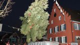 BM Baum stellen 2022-16