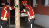 BM Baum stellen 2022-19