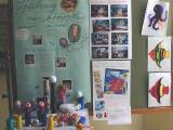 Projekttage 2000-10