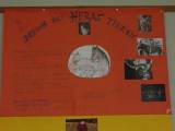 Projekttage 2002-07