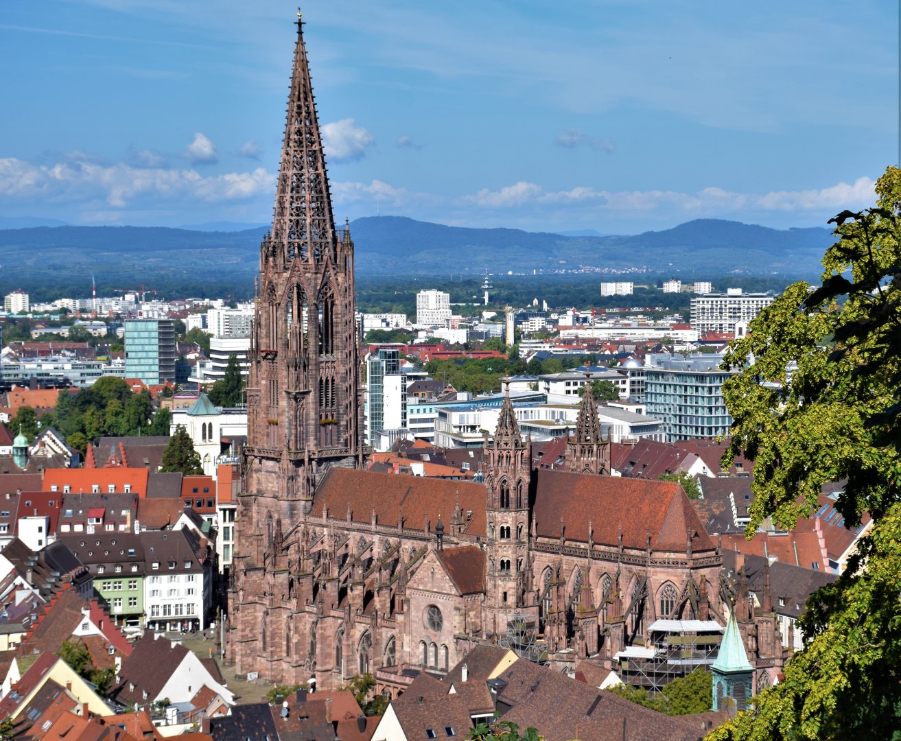 Freiburger Münster