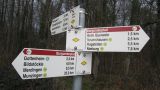 Burgunderpfad im Mooswald 2013-05