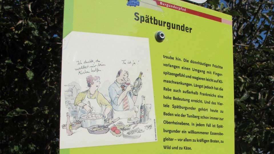Wein wandern mit Gaymann 2011-11