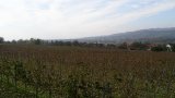 Wandern 2003-05