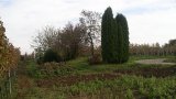 Wandern 2003-08