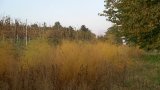 Wandern 2003-23