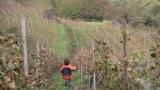 Wandern 2003-26
