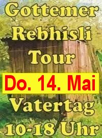 Rebhislitour-Plakat